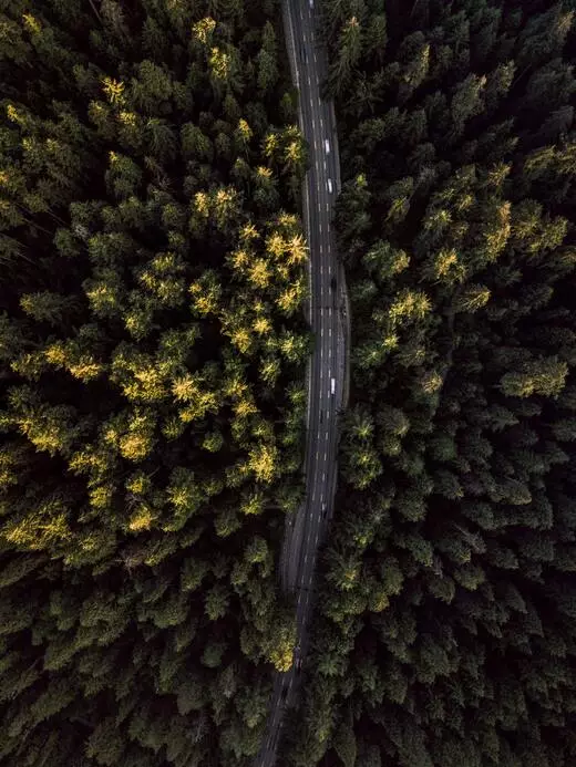 A stock image showing a birds-eye view of a road surrounded by pine trees